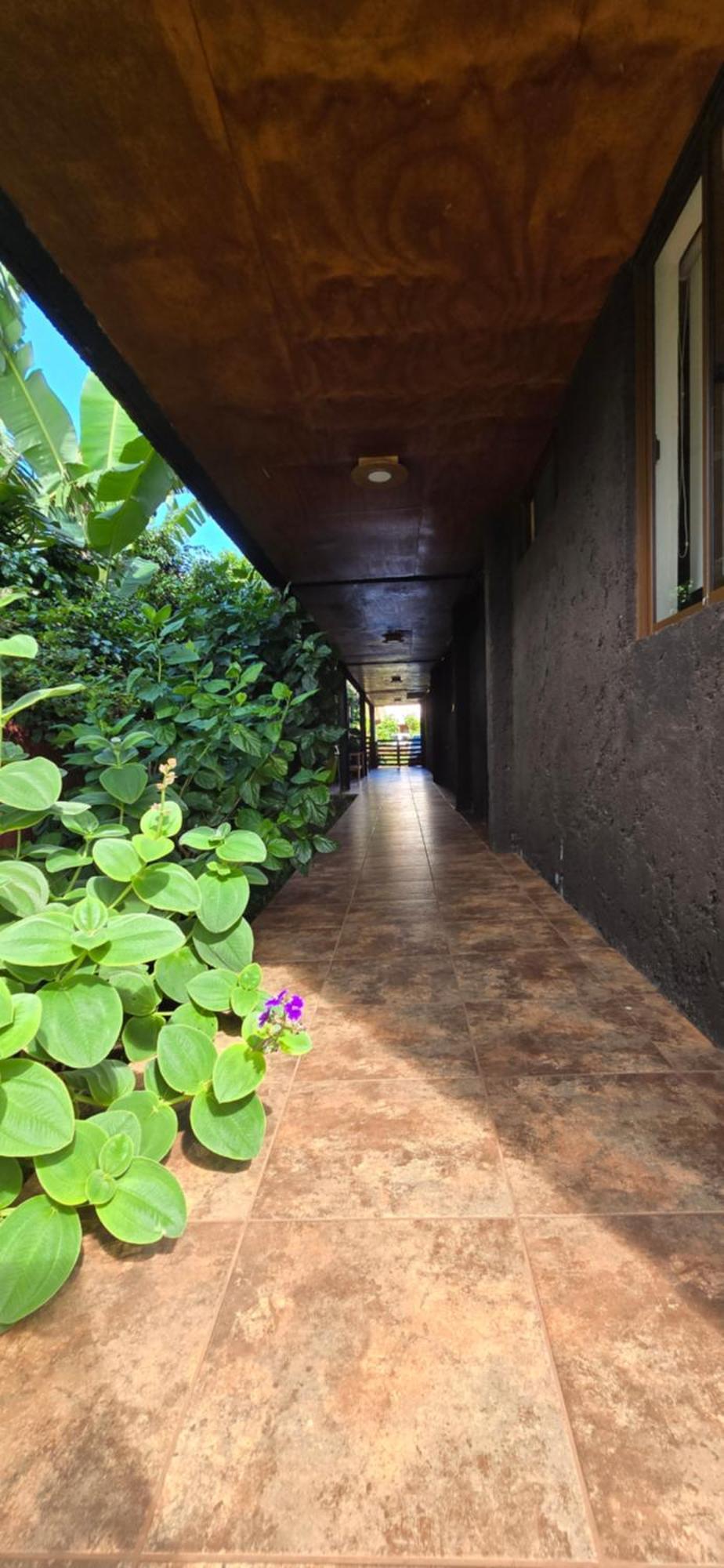 Apartamentos Tupuna Lodge Hanga Roa Quarto foto